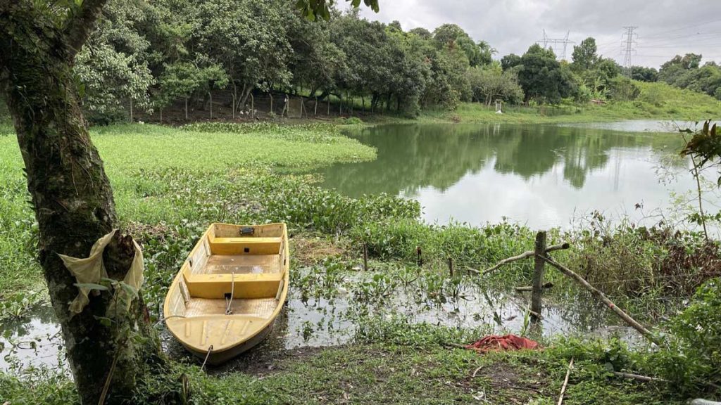 AMAR A ILHA