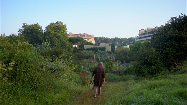 Ervilha