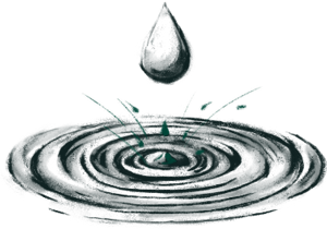 icon agua